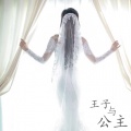 王程程 - 王子与公主
