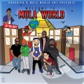 Mula World、Joe Moses - What You Came For (Explicit)(feat. Joe Moses & DJ Danny Fyah版)