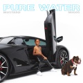 Pure Water (Explicit)