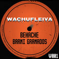 Barni Granados、Behache - Wachufleiva 1-1 (Original Mix)