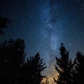 Sounds of Nature White Noise Sound Effects、Newborn Babies Natural White Noise、Calming Music Academy - Mind Adventures