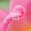 田信国 - 观音泪