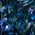 SUGIZO、Toshi - Phoenix -Hino Tori-