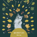 Zac Lee - 谁的青春不迷茫
