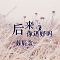 苏辰念 - 红颜祸之一念江湖