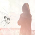 忆辰 - 逆境成长