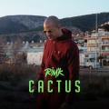 Cactus (Explicit)