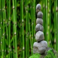 Massage Therapy Music、Deep Sleep、Yoga - Raining