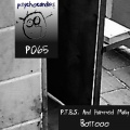 P.T.B.S.、Hammed Maliq - Borrooo