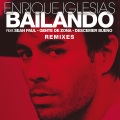 Bailando (Dubble Dutch Remix)