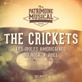 The Crickets - Teardrops Fall Like Rain