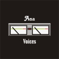 Voices (Album Version)