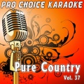 Pro Choice Karaoke - Georgia (Karaoke Version)(Originally Performed By Carolyn Dawn Johnson)