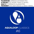 Pulsedriver - Cambodia(Extended Mix) (Remix)