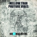 Mellow Trax - Phuture Vibes (Kai Tracid Remix)