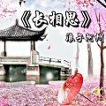 阿州 - 念长安烟火