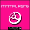 Ricky Stone - In Miami 2012 (Damir Pushkar Remix)