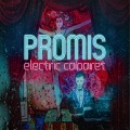 Promis - We Were Young Our Hormones Were on Fire and We Didn't Know