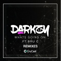 Darkzy、Bru C - What's Going On (Thorpey )(Remix)