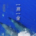 凌分贝0dB - 我不想再写悲伤的歌