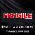 Mambo Spring (Original Mix)