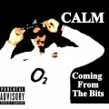 Calm - Coming from the Bits