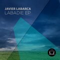Javier Labarca - Pájaro