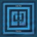 Cactus - Salto Ornamental