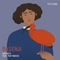 Basenji、Tkay Maidza - Mistakes (TCTS Remix)