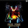 Carlo Galliani - Feel Fine