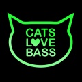 RLX - Speed Cat