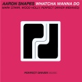Aaron Snapes - Whatcha Wanna Do (Wood Holly Remix)