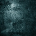 Maxime - Focus