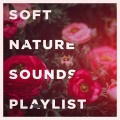 Best Relaxation Music - Departure