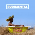 Rudimental、Shungudzo、Protoje、Hak Baker - Toast to Our Differences