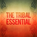 Fabiani、Marco Del Giudice、Deena、Soriani - Banga Langa (D-Soriani Tribe Remix)