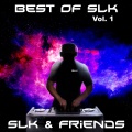 SLK & Friends - Shape of You