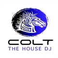Colt The House DJ - Nightfall