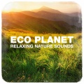 Nature's Sonic Environments and Sounds、Sleep Horizon Academy、Nature Sounds Nature Music、Soothing Mind Music - Nocturnal Wasteland Sounds 1: Crickets, Grasshoppers and Owls
