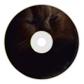 E.V.I.P. - Chimera