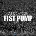 Fist Pump (Radio Mix|Explicit)