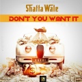 Shatta Wale - Don't You Want It