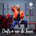 Sore - Dintr-O Mie De Femei (Paul Damixie )(Remix)