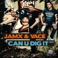 JamX、Vace - Can U Dig It 2K13 (Dachstuhl Remix)