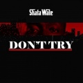 Shatta Wale - Don't Try