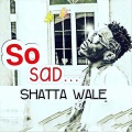 Shatta Wale - So Sad