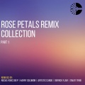 Harry Solomon、Natasha K、Soul Chap、Warren Deep - Rose Petals (Harry Solomon' s Alex Vocal Feel)