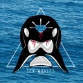 Sex Whales - The Krusty Krab
