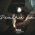 Pentru Că (Vladish Remix)