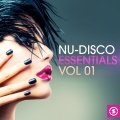 Joy Malcolm、House Bros、Britalics - Love What You Feel (House Bros Back To Disco Strum)